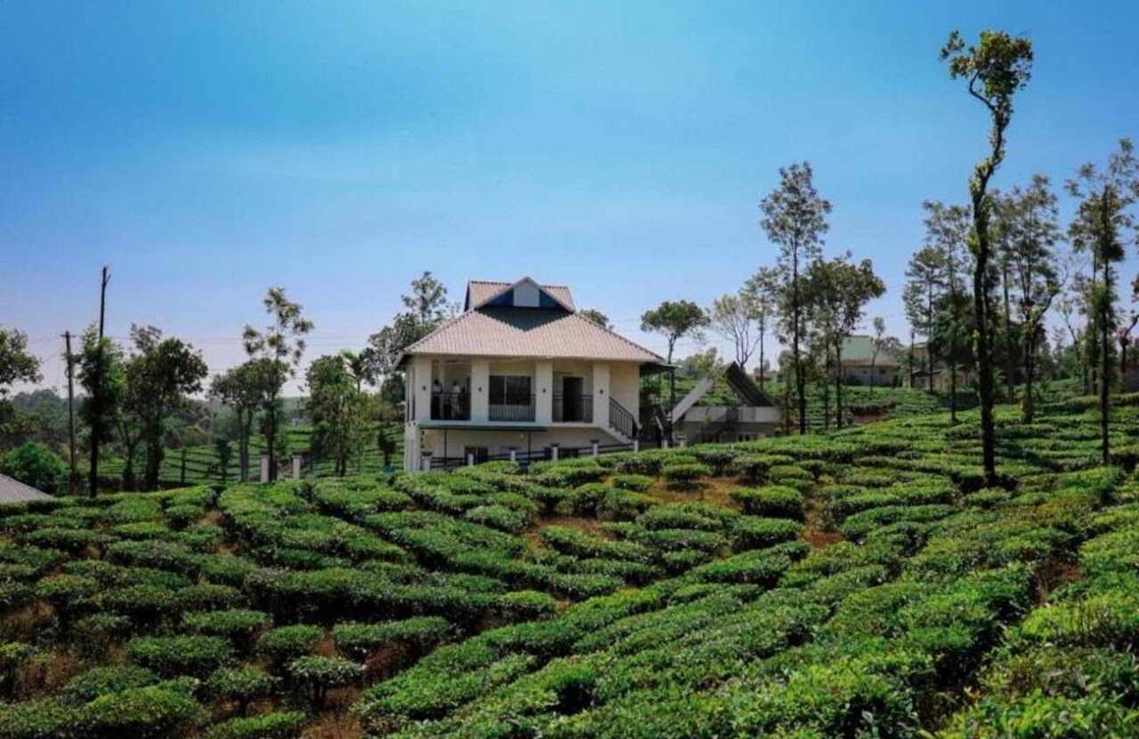 EDAYAN MEADOWS