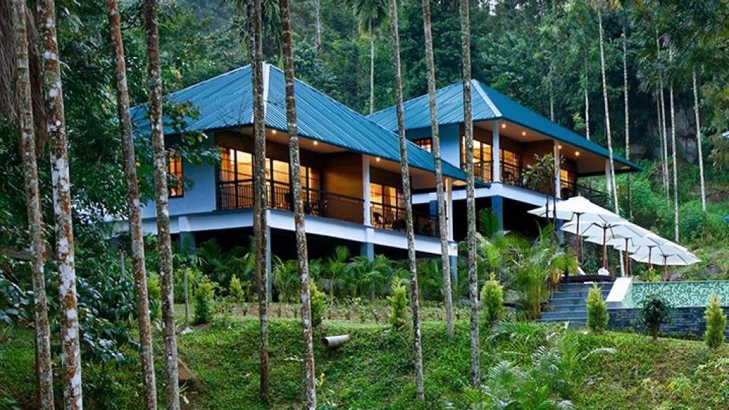 THE HIVE WAYANAD