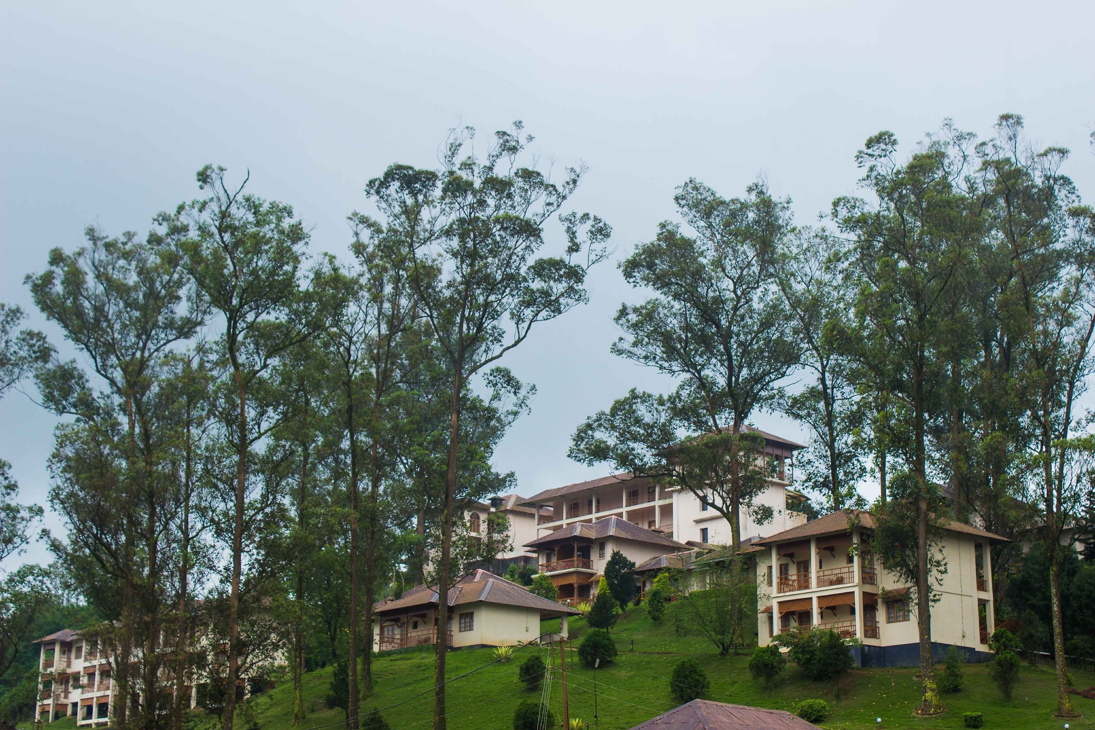 KTDC TEA COUNTY MUNNAR