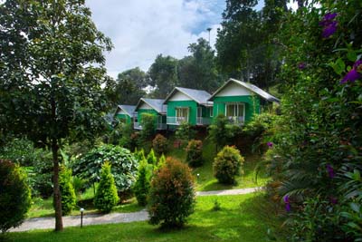 hotel in Munnar town, Munnar family hotel, Munnar group accommodation, Munnar hotel with Ayurveda, Munnar conference hotel, and Munnar hotel booking.