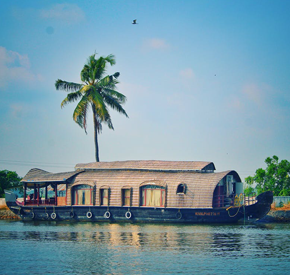 Domestic Tours